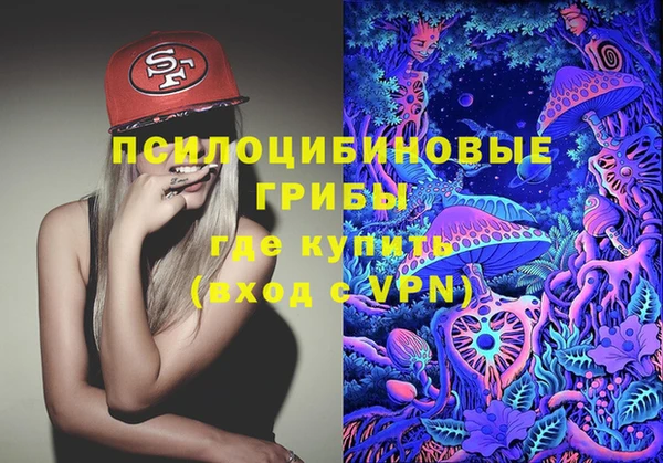 герыч Вяземский