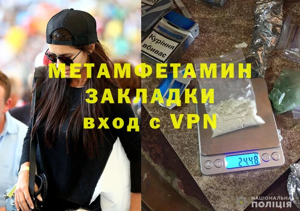сатива Волоколамск