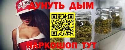 крисы Партизанск