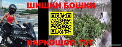 крисы Партизанск
