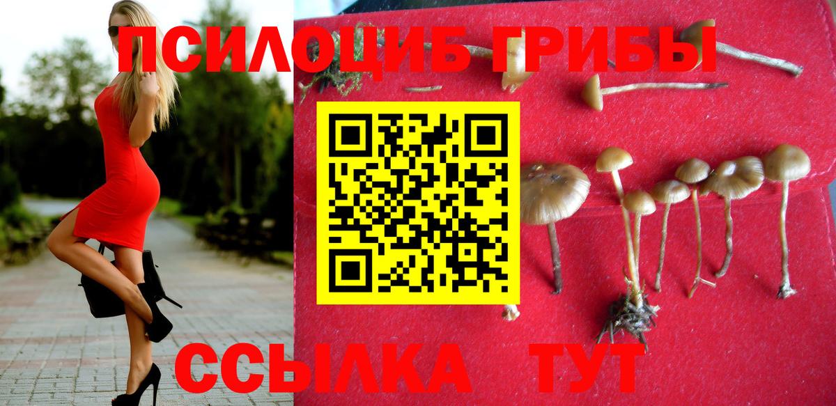 Галлюциногенные грибы мухоморы Волхов